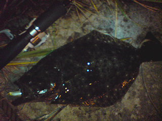 2008-12-01.jpg