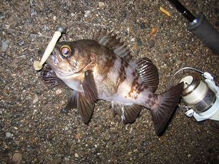 2008-12-02.jpg
