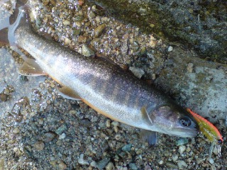 20091005125224.jpg
