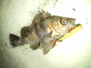 01.jpg