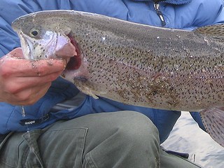02.jpg