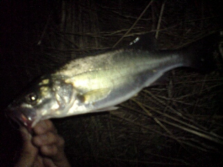 20090702162603.jpg