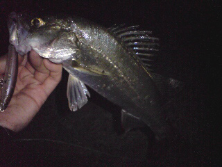 20090709141608.jpg