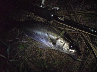 20090714114420.jpg