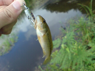20090807171125.jpg