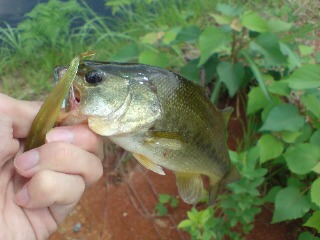 20090807171230.jpg