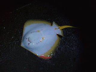 DCF00041_.jpg