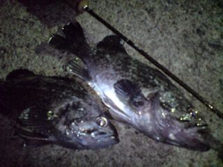 DSC00977_320.jpg