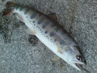 DSC01071_.jpg