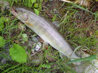 DSC01073_.jpg