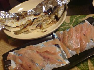 DSC01077_.jpg