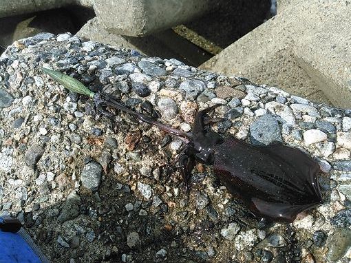 DSC_0030.jpg