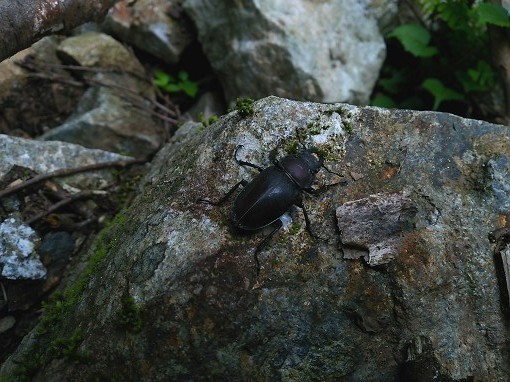 DSC_0664.jpg
