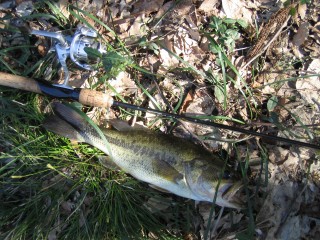 IMG_0613s.jpg