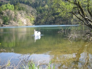 IMG_0622s.jpg