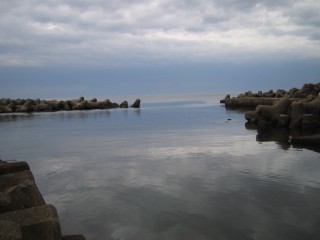 IMG_0633s.jpg