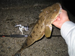 IMG_0636s.jpg