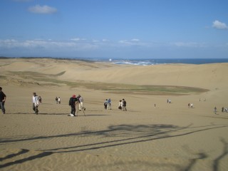 IMG_0779s.jpg