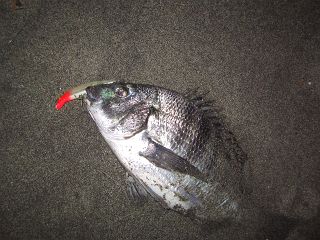 IMG_1860_.jpg