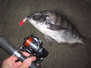 IMG_1862_.jpg