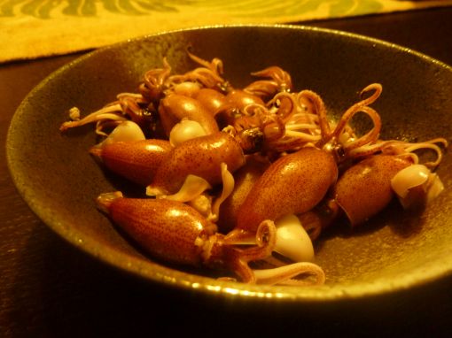 P1010295_.jpg