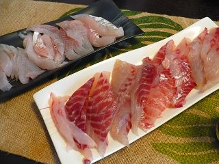 P1060684_.jpg
